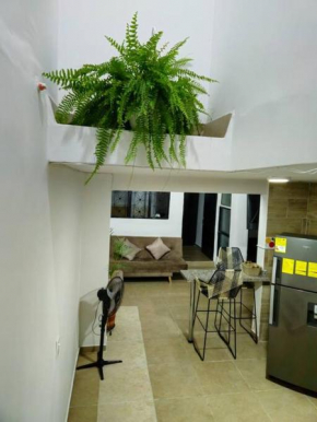 Denier House Guabinal 203